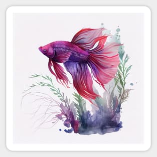 Purple and Red Betta Fish Watercolor Sticker